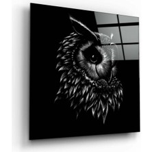 Petmudo AVM Baykuş Cam Tablo NO:4081