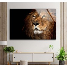 Petmudo AVM Aslan Temperli Cam Duvar Tablosu