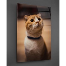 Petmudo AVM Sarı Kedi Dikey Cam Tablo