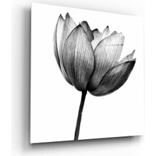 Petmudo AVM Çiçek Cam Tablo NO:1039 | Hediyelik, Dekoratif, Ofis, Mutfak