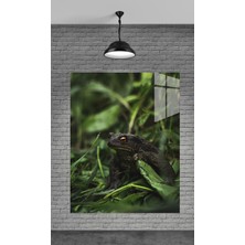 Petmudo AVM Kurbağa Resmi Temperli Cam Üzerine Tablo Sevgilinize Yılbaşı Hediye