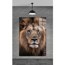 Petmudo AVM Tek Aslan Cam Tablo Ev Dekorasyon,balkon Dekorasyonu,dekoratif,duvar Tablo,mutfak Tablo