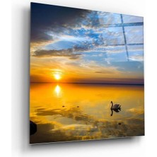 Petmudo AVM Kuğu ve Günbatımı Cam Tablo NO:1052