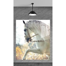 Petmudo AVM Beyaz At Dekoratif Temperli Cam Üzerine Tablo Sevgilinize Yılbaşı Hediye