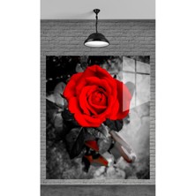 Petmudo AVM Muhteşem Siyahlar Içinde Kırmızı Gül Temperli Cam Üzerine Tablo Sevgilinize Yılbaşı Hediye