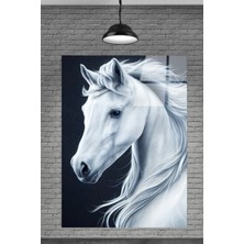 Petmudo AVM Beyaz At Cam Tablosu