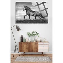 Petmudo AVM Görkemliat 4mm Lüks Kırılmaz Temperli Yüksek Çözünürlüklü Cam Tablo