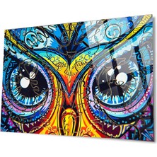 Petmudo AVM Baykuş Gözü Kırılmaz Cam Tablo, Ev ve Ofis Hediyesi Yüksek Çözünürlüklü 4mm Lüks Tablo