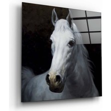 Petmudo AVM At Cam Tablo NO:4078