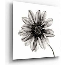 Petmudo AVM Çiçek Cam Tablo NO:1042