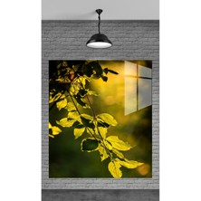 Petmudo AVM Yeşil Yapraklar Dekoratif Temperli Cam Üzerine Tablo Sevgilinize Yılbaşı Hediye