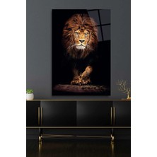 Petmudo AVM Aslan Hayvan Portresi Uv Baskılı Cam Tablo, Ev ve Ofis Yüksek Çözünürlüklü 4mm Cam Tablo