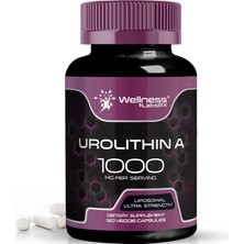 Wellness Urolithin A - 1000MG - 120 Kapsül - Liposomal Ultra Strength*