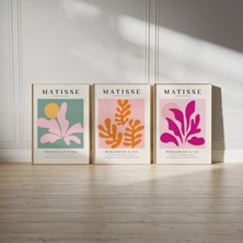 Pam Studio Matisse Tarzı 3’lü Minimalist Poster Seti – Modern Duvar Dekoru, Renkli Soyut Sanat Tablosu