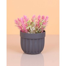 İlk El Grup Ieg™ Çizgili Saksı Dikenli Çiçek ROYALEKS-5781