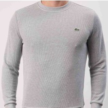Lacoste Bisiklet Yaka Dar Kesim Gri Erkek Sweatshirt