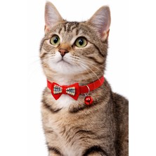 Petesia Papyonlu Kedi Boyun Tasması 19X1 cm