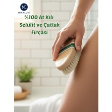 Miraluni %100 At Kılı Selülit ve Çatlak Fırçası – Doğal Ahşap, Kuru Fırçalama, Sıkılaştırıcı Vücut Fırçası
