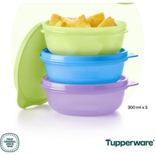 Tupperware Saklama Kabı 3lü