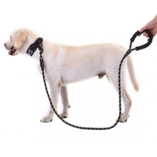 İntora Evcil Hayvan Reflektörlü Fitil Gezdirme Tasması 12 mm x 120 cm