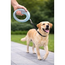 Petesia Yuvarlak Şeritli Otomatik Köpek Gezdirme Tasması 2.5 M 20 kg