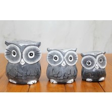 Aspata Store Buğz Ahşap 3'lü Baykuş Seti Model 2