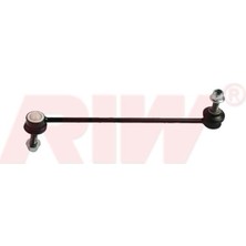 RIW Rıw RN4030 - Z Rot Viraj Demir Askı Rotu Renault Clıo V 19