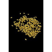 Serhat Aksesuar ve El İşçiliği Damla Inci 6X10 mm Gold Rengi Boncuk (20 gr Ortalama 125 Adet)