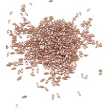 Serhat Aksesuar ve El İşçiliği Inci Arpa Boncuk Pembe Somon 3x6 mm (20 gr Ortalama 600 Adet)