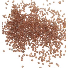 Serhat Aksesuar ve El İşçiliği Piramit Akrilik Boncuk Vizon Renginde 4 mm Aksesuar Takı Malzeme (25 Gr)