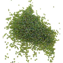 Serhat Aksesuar ve El İşçiliği 08 Kum Boncuk Az Janjan Yeşil 3 mm (85 Gr)