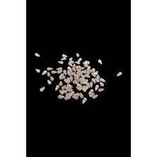 Serhat Aksesuar ve El İşçiliği Damla Açık Vizon 7X14 mm Akrilik Boncuk (25 gr 70 Adet)