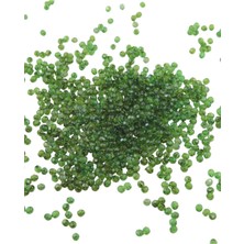 Serhat Aksesuar ve El İşçiliği Piramit Akrilik Boncuk Yeşil Tonunda 4 mm Aksesuar Takı Malzeme (25 Gr)