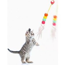 Safestore Elastik Kendinden Yapışkanlı Solucan Kedi Oltası- Kedi Oyuncağı