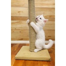 Medusa 55CM Kedi Tırmalama