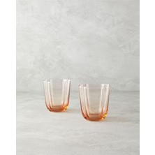 Reina Cam 2’li Meşrubat Bardağı Pudra