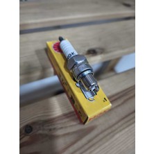 MTYL Kral Pion 50 Uyumlu 0rj (Tayland) Ngk Buji