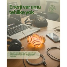 Ekovira 5 Adet Yün Koku Topu 1 Adet Gül Esansiyel Koku