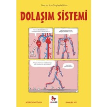 Lisinya Dolaşım Sistemi - Gençler Için Çizgilerle Bilim