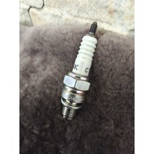 MTYL Arora Quantum 50 125 (Karburatör) Uyumlu 0rj (Tayland) Ngk Buji