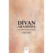 Divan Arasında - Lutfi Divanı'nın Tahlili