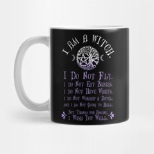 Mio Life Wiccan Pagan Witch I Am A Witch Misconceptions Tee Kupa