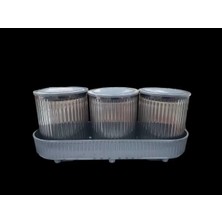 Royaleks Group Salta 4 Parça Büyük Mutfak Baharat Seti ROYALEKS-EMN3120