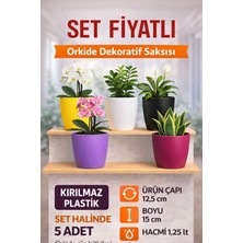 Plant Home Power Mix 5’li Orkide Dekoratif Saksı Seti 1,25 L – Kırılmaz Plastik, Renkli, Tabaksız