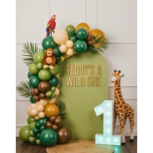 Peri Party Safari Temalı Balon Seti