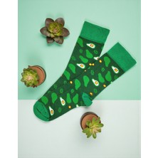 G Socks Yeşil Avokado Desenli Renkli Çorap