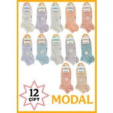 Dündar Plus Kadın Modal Kokulu Dikişsiz Patik Açık Asorti Çorap 36-40