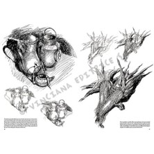 Aydenstore Still Life Desen Kitabı N:24 N