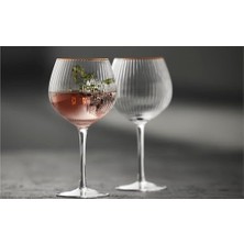 Aydenstore Glas Palermo Ginglas Kadeh 4 Adet 65 cl