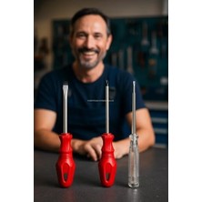 Aydenstore 3’lü Tornavida Kontrol Kalemi Seti, 20 cm, Düz, Yıldız Uçlu Ergonomik Tutma Kolu, Dayanıklı El Aleti Takımı